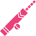 Cricket
